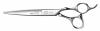 MIZUTANI CIS. REUZEL SCHOREM MASTER @