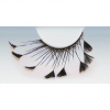 STAR GAZER FAUX CILS PLUME