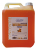DELORME SHAMPOING CONCENTRE MIEL ABRICOT 5L