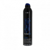 ARTIST FINISHING / MODELING SPRAY 500ml