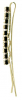 PINCE GUICHE OR 1 RANGEE DE STRASS x2