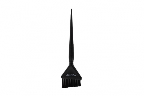 PINCEAU DELORME BISEAUTE GM