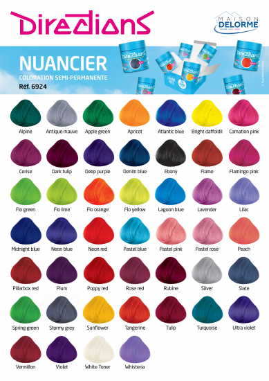 DIRECTIONS LA RICHE 88 ml