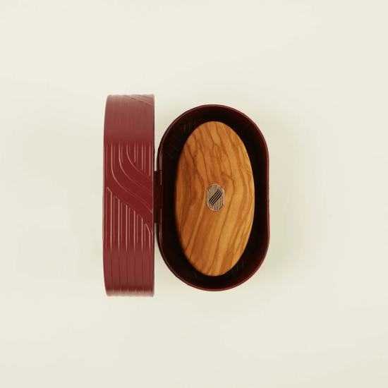 ALTESSE STUDIO PRESTIGE BROSSE FAIT MAIN EN BOIS HOMME