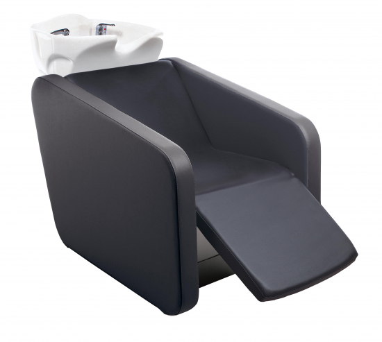 BAC LAVAGE NELSON ERGOWASH LIFT ELECTRIC AGREE CARSAT