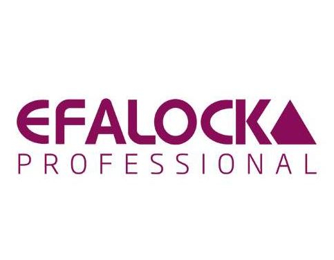PINCE EFALOCK 3 BR No4 x 25