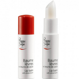 PS BAUME LEVRES STICK evds