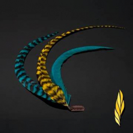 EXTENSION PLUMES CLIPS x 3