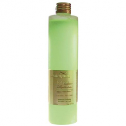 HAIRGUM LOTION CAPILLAIRE 200ml evds