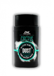 HAIRGUM POUDRE COIFFANTE DUST CACTUS 15g