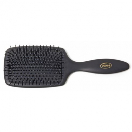 DELORME BROSSE PNEU PICOT PLAST PADDLE