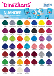 DIRECTIONS LA RICHE 88 ml