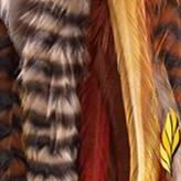 EXTENSION PLUMES LARGES x10