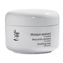 PS MASQUE A L'ALOE VERA 250 ml evds