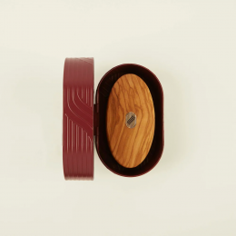 ALTESSE STUDIO PRESTIGE BROSSE FAIT MAIN EN BOIS HOMME