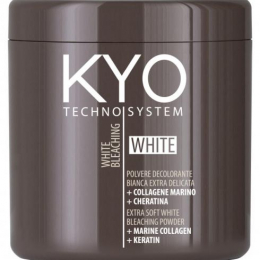 KYO POUDRE DECO BLANCHE 450g