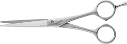 TONDEO CENTURY MICRO CLASSIC T5' evds