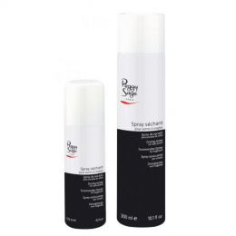 PS SPRAY SECHE VERNIS 300 ml