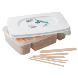 SPATULES BOIS ASSORTIES x 400