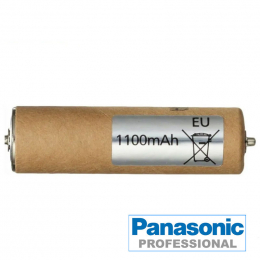 BATTERIE PANASONIC GP21 PA10 ou 121