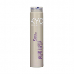 KYO SHAMPOING ANTI YELLOW SILVER 250 ml