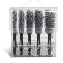 BROSSE TERMIX EVOLUTION LOT x5